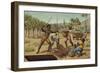 Loading Cocoa Pods into Sacks, Africa-null-Framed Giclee Print