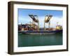 Loading Containers at the Busy Port of Colombo, Sri Lanka-null-Framed Photographic Print