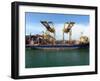 Loading Containers at the Busy Port of Colombo, Sri Lanka-null-Framed Photographic Print