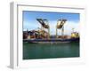 Loading Containers at the Busy Port of Colombo, Sri Lanka-null-Framed Photographic Print