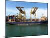 Loading Containers at the Busy Port of Colombo, Sri Lanka-null-Mounted Photographic Print