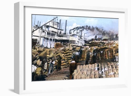 Loading Cotton onto a Ship, Memphis, Tennessee, USA, C1900s-null-Framed Giclee Print