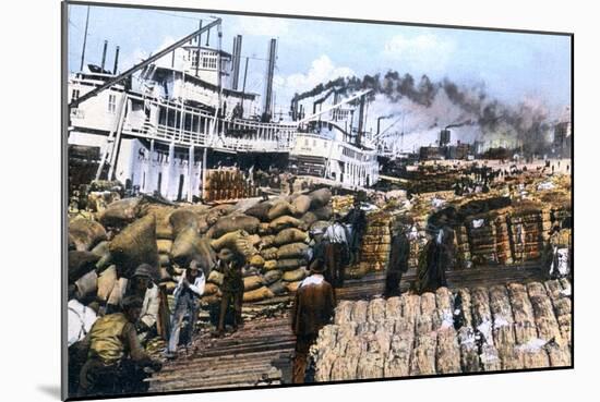 Loading Cotton onto a Ship, Memphis, Tennessee, USA, C1900s-null-Mounted Giclee Print