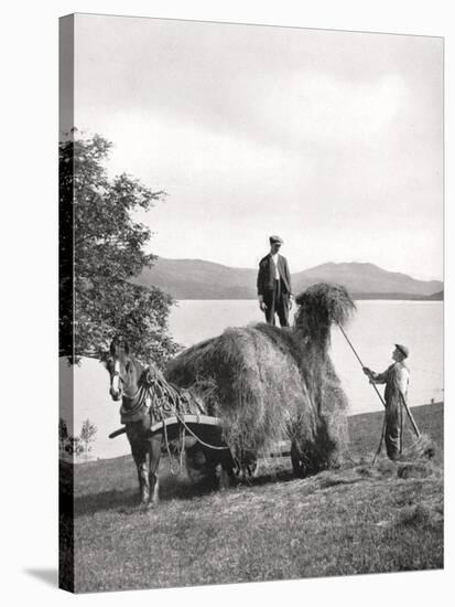 Loading Hay onto a Wagon on the Shores of Loch Lomond, Scotland, 1924-1926-Donald Mcleish-Stretched Canvas