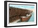 Black Frame