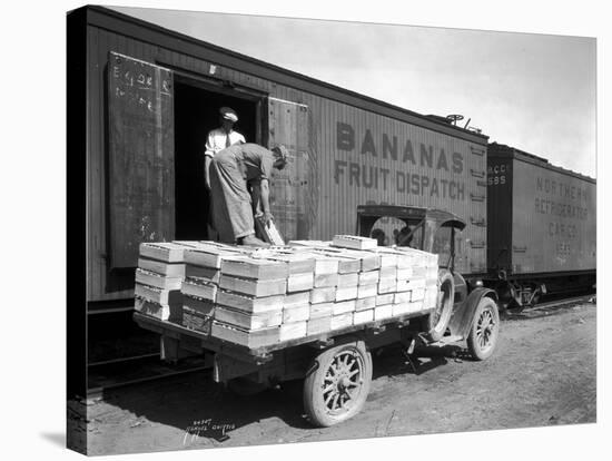 Loading Peaches in Car at Donald, 1928-Asahel Curtis-Stretched Canvas