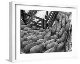 Loading Sheep-Jack Delano-Framed Premium Photographic Print