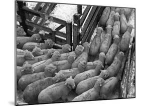 Loading Sheep-Jack Delano-Mounted Premium Photographic Print