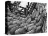 Loading Sheep-Jack Delano-Stretched Canvas