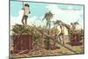 Loading Sugar Cane, Hawaii-null-Mounted Art Print