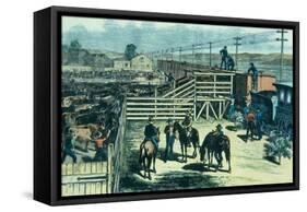 Loading Texas Cattle Onto a Train at Abilene Railhead, Kansas, c.1870-null-Framed Stretched Canvas