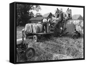 Loading Threshed Barley-null-Framed Stretched Canvas