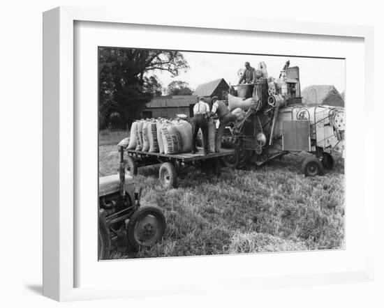 Loading Threshed Barley-null-Framed Photographic Print