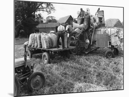 Loading Threshed Barley-null-Mounted Photographic Print