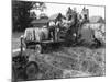 Loading Threshed Barley-null-Mounted Photographic Print