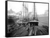 Loading Timber at Tacoma Mill, 1909-Asahel Curtis-Framed Stretched Canvas