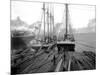 Loading Timber at Tacoma Mill, 1909-Asahel Curtis-Mounted Giclee Print