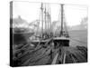 Loading Timber at Tacoma Mill, 1909-Asahel Curtis-Stretched Canvas