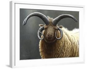 Loaghtan Ram-Jeremy Paul-Framed Giclee Print