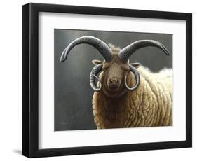 Loaghtan Ram-Jeremy Paul-Framed Premium Giclee Print