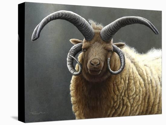 Loaghtan Ram-Jeremy Paul-Stretched Canvas