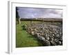 Loanhead of Daviot Stone Circle, Daviot, Aberdeenshire, Scotland-Patrick Dieudonne-Framed Photographic Print