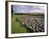 Loanhead of Daviot Stone Circle, Daviot, Aberdeenshire, Scotland-Patrick Dieudonne-Framed Photographic Print