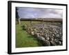 Loanhead of Daviot Stone Circle, Daviot, Aberdeenshire, Scotland-Patrick Dieudonne-Framed Photographic Print