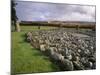 Loanhead of Daviot Stone Circle, Daviot, Aberdeenshire, Scotland-Patrick Dieudonne-Mounted Photographic Print