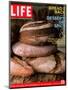 Loaves of Bread, March 10, 2006-Gentl & Hyers-Mounted Photographic Print