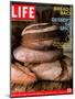 Loaves of Bread, March 10, 2006-Gentl & Hyers-Mounted Photographic Print