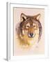 Lobo-Barbara Keith-Framed Giclee Print