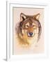 Lobo-Barbara Keith-Framed Giclee Print