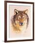 Lobo-Barbara Keith-Framed Giclee Print