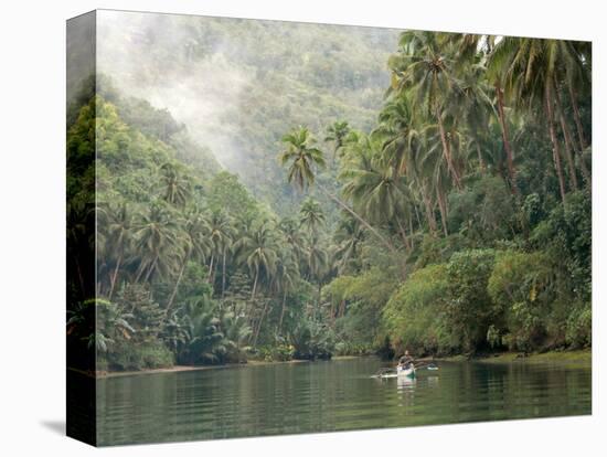 Loboc River, Bohol, Philippines, Southeast Asia, Asia-Tony Waltham-Stretched Canvas