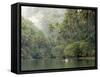 Loboc River, Bohol, Philippines, Southeast Asia, Asia-Tony Waltham-Framed Stretched Canvas