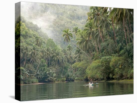 Loboc River, Bohol, Philippines, Southeast Asia, Asia-Tony Waltham-Stretched Canvas