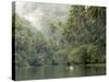 Loboc River, Bohol, Philippines, Southeast Asia, Asia-Tony Waltham-Stretched Canvas