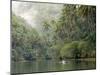 Loboc River, Bohol, Philippines, Southeast Asia, Asia-Tony Waltham-Mounted Photographic Print