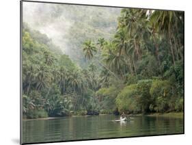 Loboc River, Bohol, Philippines, Southeast Asia, Asia-Tony Waltham-Mounted Photographic Print