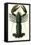 Lobster, 1849-null-Framed Stretched Canvas