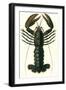 Lobster, 1849-null-Framed Giclee Print