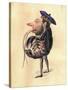 Lobster 1873 'Missing Links' Parade Costume Design-Charles Briton-Stretched Canvas