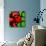 Lobster and Seven Limes-John Nolan-Mounted Giclee Print displayed on a wall