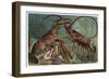 Lobster and Spiny Lobster by Alfred Edmund Brehm-Stefano Bianchetti-Framed Giclee Print