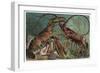 Lobster and Spiny Lobster by Alfred Edmund Brehm-Stefano Bianchetti-Framed Giclee Print