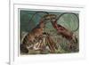 Lobster and Spiny Lobster by Alfred Edmund Brehm-Stefano Bianchetti-Framed Giclee Print