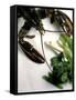 Lobster, Asparagus, Sorrel, Watercress, Mangetout-Eising Studio - Food Photo and Video-Framed Stretched Canvas