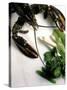 Lobster, Asparagus, Sorrel, Watercress, Mangetout-Eising Studio - Food Photo and Video-Stretched Canvas