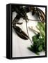 Lobster, Asparagus, Sorrel, Watercress, Mangetout-Eising Studio - Food Photo and Video-Framed Stretched Canvas